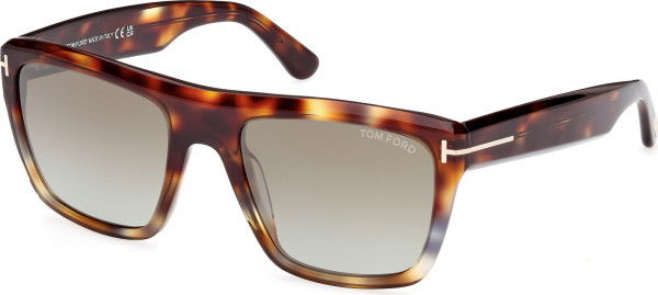 Tom Ford FT1077 ALBERTO Sunglasses, 55G - Coloured Havana / Dark Havana