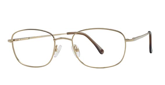 Hilco FRAMEWORKS 381 Eyeglasses, ANG Matte Gold