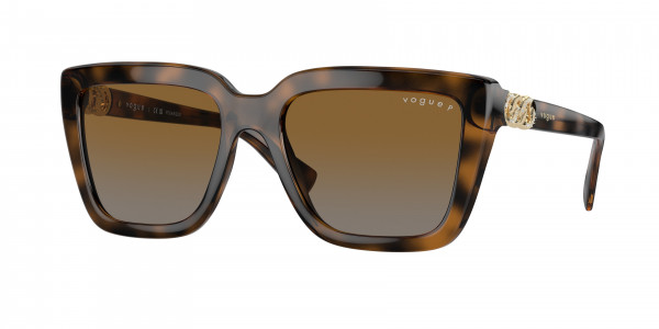 Vogue VO5575SB Sunglasses