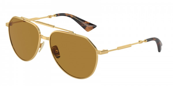 Dolce & Gabbana DG2302 Sunglasses