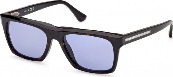 Web Eyewear WE0350 Sunglasses, 56V - Havana/Monocolor / Shiny Black