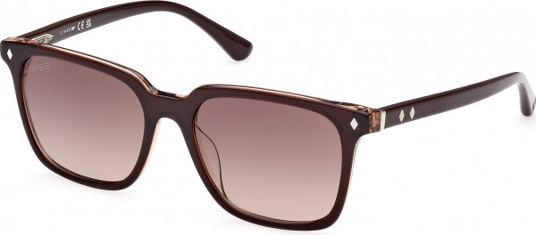 Web Eyewear WE0348 Sunglasses, 50F - Shiny Dark Brown / Shiny Dark Brown
