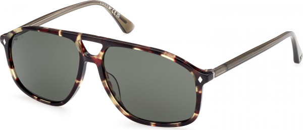 Web Eyewear WE0338 Sunglasses, 55N - Coloured Havana / Shiny Grey