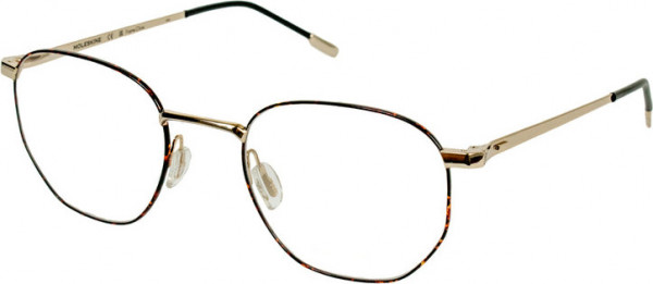 MOLESKINE Moleskine 2181 Eyeglasses, 29-GOLD TORTOISE