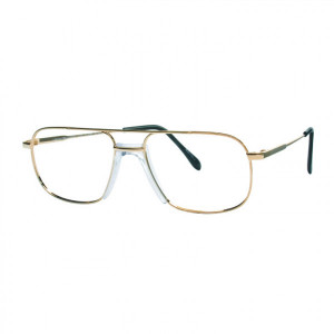 Charmant TI 8120 Eyeglasses