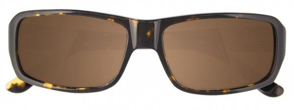 Takumi T6027S Sunglasses, 010 - Demi Amber