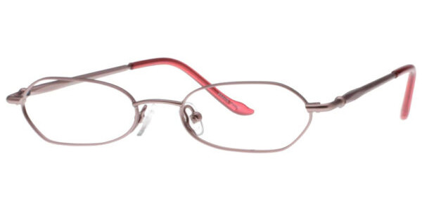 Stylewise SW512 Eyeglasses, Brown