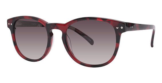 Cinzia Designs Flashcard Sunglasses