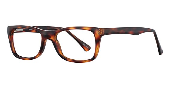 Enhance 3847 Eyeglasses, Tortoise
