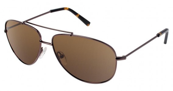 Ted Baker B610 Sunglasses, Brown (BRN)