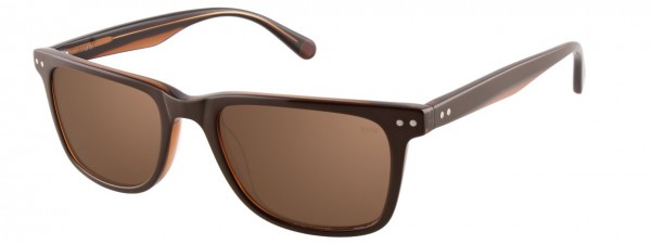 BMW Eyewear B6505 Sunglasses, DARK BROWN