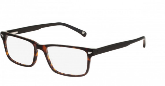 Altair Eyewear A4035 Eyeglasses, 214 Tortoise