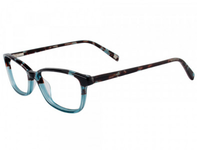 NRG R576 Eyeglasses, C-3 Teal Tortoise